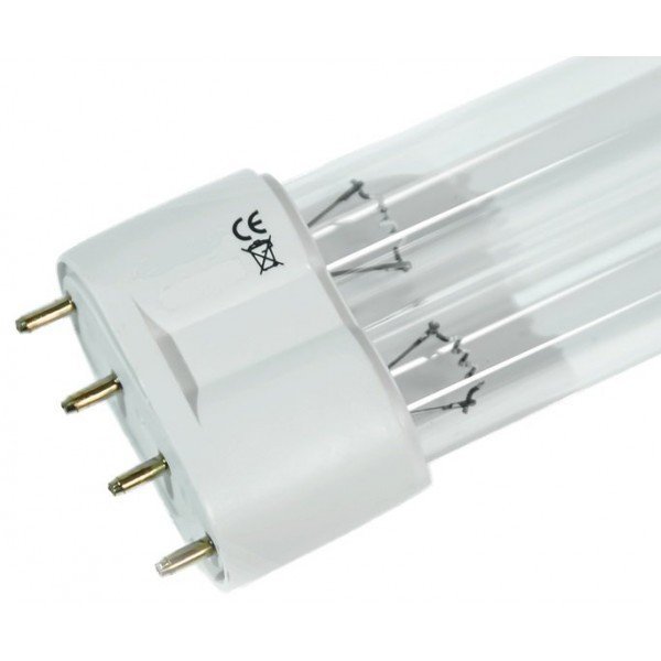 Лампа ультрафиолетовая    PL-L36W, 2G11. Фото N2