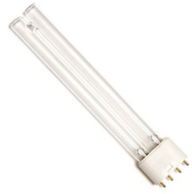 Лампа ультрафиолетовая  PL-L24W, 2G11