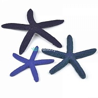 Набор синих морских звезд, Starfish set 3 blue