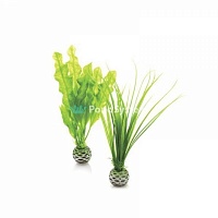 Набор &quot;Малые, зеленые растения&quot; Easy plant set small green
