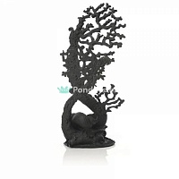 Коралл черный, Fan coral ornament black