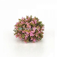 Розовый цветочный шар, Flower ball pink