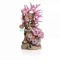 Орнамент &quot;Риф&quot;, розовый, Reef ornament pink