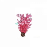 Розовый морской веер, малый, Sea fan small pink