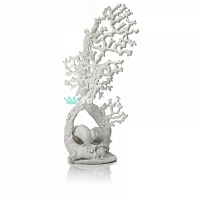 Коралл белый, Fan coral ornament white