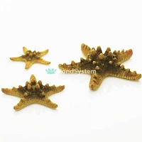 Набор жёлтых морских звезд, Starfish set 3 yellow